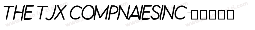 THE TJX COMPNAIESINC字体转换